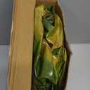 JOYIN 62” Giant T.rex Dinosaur Inflatable for Party Decorations, Birthday Party Gift for Kids and Adults, Dinosaur Pool Toys (Over 5Ft. Tall)