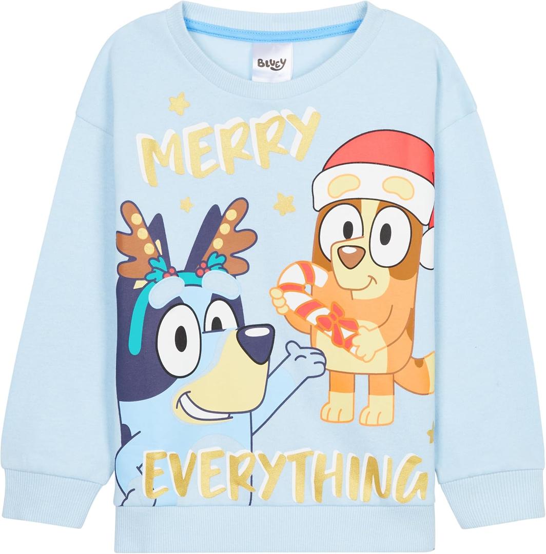 Bluey Ugly Christmas Sweater Kids, Toddlers Crew Neck Long Sleeve Christmas Sweatshirt Sweater Pullover, Gifts for Girls (2-3T)