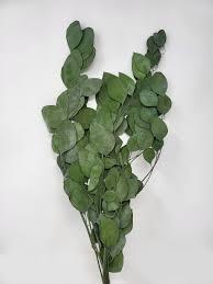 Spring Decor Pick 5 Packs