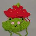 2pcs Frog and Strawberry Cat Hat, Cotton & Soft Cute Knitted Hats for Cats, Christmas Halloween Holiday Party Clothes Birthday Party Puppy Hat for Small Pets (red, green)