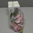 Artificial Pink Orchid Flowers in Glass Vase Phalaenopsis Flowers Potting and Fake Fleshiness Ornament for Home Bathroom Office Table Centerpiece Room Decorations