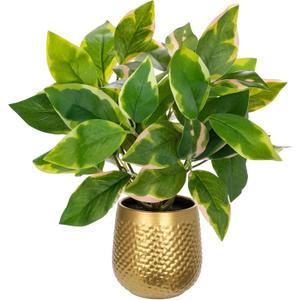 Oairse Articicial Plants Indoor Small Fake Plants in Pots Faux Pothos Nâ€˜ Joy Potted Plant Fake Indoor Plants with Gold Pots for Bathroom Living Room Office Desk Shelves