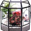 Large Glass Terrarium Handmade, Centerpiece Display Box Gift Planter Containers Indoor Terrariums House for Succulent Cacti Air Plants Miniature Fairy Garden (Black)