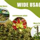 2 x Dried Forest Moss for Plants 5.3oz / 3qt, Green Orchid Sphagnum Moss, Long Fibered Dried Moss for Succulents Garden Flowers Pot and Reptiles