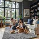 Rugs for Bedroom 4x6, Alfombras para Salas Shag Large Plush Soft Area Rug, Shaggy Carpets for Livingroom, Kids Boys Girls Home Decor Aesthetic(Light Grey, 4 x 6)