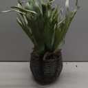 Hollyone Artificial Staghorn Fern Hanging Plants, Fake Boston Fern Hanging Plant in Persian Rattan Pot Faux Fern Plant Potted Hanging Plant for Indoor Outdoor Home Wall Room Garden Decor