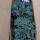 National Tree Company 7.5 ft Pre-Lit Dunhill Fir Artificial Christmas Tree, 700 LED Lights, 2,514 Tips, Foot Pedal, 10 Light Functions, Includes Stand, Green