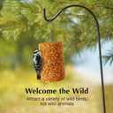C&S Ready to Use Hot Pepper Bird Seed Cylinder, Spicy Wild Bird Outdoor Feeder with Hanger, 1.76 Pound Cylinder, 2 Pack, BBD: 10/21/2028