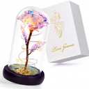 Childom Birthday Gifts for Women,Christmas Rose Gifts for Mom,Women,Her,Wife,Grandma,Light Up Rose in Glass Dome,Colorful Rainbow Flowers for Delivery Christmas,Anniversary,Valentines Day,Mothers Day
