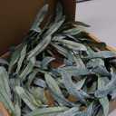 Birchlitland Lighted Olive Garland Battery Operated with Timer 6FT 96 LED Fairy Lights, Faux Vine with Lights for Mantel Fireplace Wall Patio Wedding and Holiday Decor