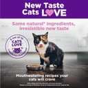 Wellness Complete Health Kitten Dry Cat Food for Indoor & Outdoor Cats, Wholesome Grains, Natural, Original Turkey, Turkey Meal and Chicken (5 Pound Bag) (EXP 03/18/26)