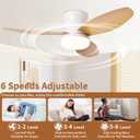 Glowall Small Ceiling Fan with Lights and Remote, 25'' Flush Mount, Modern