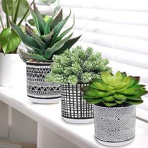 Winlyn Set of 3 Assorted Small Potted Succulents Arrangement Artificial Succulent Plants in Black and White Geometric Pots for Table Centerpiece Windowsill Shelf Indoor Outdoor Garden Greenery Decor