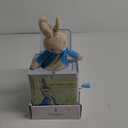 Beatrix Potter Peter Rabbit Jack-in-The-Box, Multi-colored, Standard