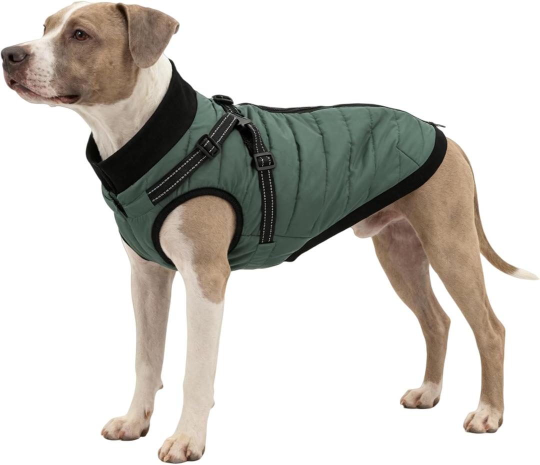 Dog Winter Coat with Hurns Built in, Dog Winter Jacket for Small, Medium, and Large Dogs, Water- Resistant? Windproof - Green - 4XL
