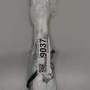 ARANA Hood Struts Lift Support for Dodge Charger 2011-2020, 2 Pcs(Cylinder Longer Than the Original Size & Not Compatible with Dodge Charger R/T SE BASE SRT8)