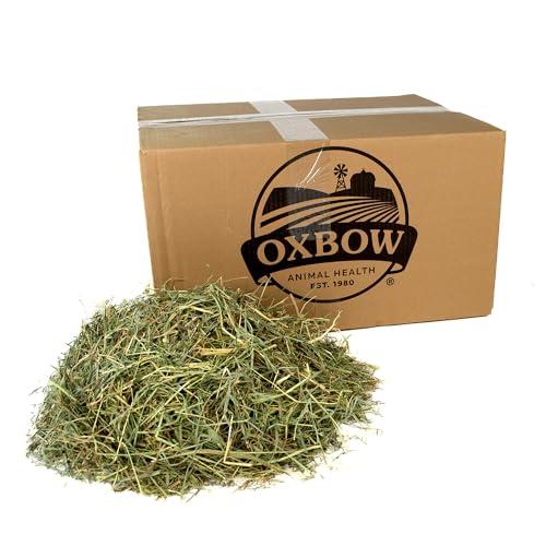 Oxbow Orchard Grass Hay, All Natural Grass Hay, Food for Pet Chinchilla, Rabbit, Guinea Pig, Hamster, Gerbil & Other Small Pets, Guinea Pig Food, Bunny Stuff, 25 lb. box