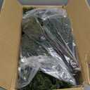 Artificial Topiary Bushes for Outdoors with Spike, Boxwood Ball Fake Shrubs UV Resistant Faux Plants for Indoor Outdoor Fall Thanksgiving Halloween Decor (Cedar Topiary Ball Trees)