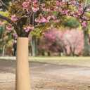 2 x Adnee 100Ft x 4In Lengthen Tree Protector Paper Wrap,Weather Resistant Tree Wrap Rolls to Keep Moisture,Trees Trunk Bandage Cover for Protecting from Frost Sun Bugs