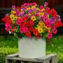 12 Pcs Artificial Flowers for Outdoors, Fake Outdoor Plastic Flowers for Outdoors UV Resistant, Fake Plants Artificial Plants Outdoor Plastic Plants, Silk Faux Spring Flowers for Outside (Bright Mixed Color)