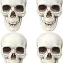 CUNHUYSmall Skulls Halloween Decor, 5 Inch Plastic Fake Skeletons, Mini Skulls for Crafts Outdoor Halloween Decorations, Realistic Miniature Human Skull Heads (4)