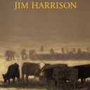 The Summer He Didn't Die