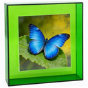 8x10 Acrylic Picture Frame for Wall and Tabletop Neon Floating Photo Frame with Decorative Bright Color,
Turquoise Green