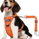 Dog Seat Belt Harness for Car, Dog Car Harness Adjustable Mesh Breathable & Dogs Seatbelt Safety Tether with Elastic Bungee (Orange, S) (Chest: 16.5-21.7", Neck: 8.7-13.8"))