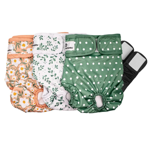 Pet Parents® Washable Dog Diapers (3pack) + Extendrs® of Durable Doggie Diapers, Premium Dog Diapers Female (Large, Daisy)