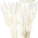 MECCANIXITY 120pcs Natural Rabbit Bunny Tails Dried Flowers 24" Mini Pampas Grass Lagurus Ovatus Bunch for Floral Wedding Decor Christmas, White
