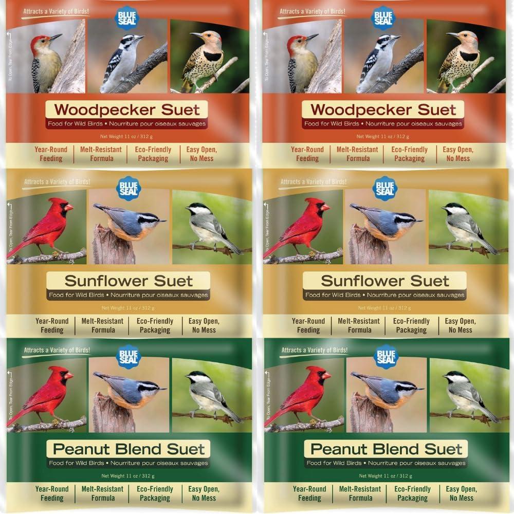 Blue Seal Nut Feast Suet Cakes for Wild Birds | No Mess Suet Feed with Variety of Nuts | Food for Woodpeckers, Cardinals, Siskins & Sparrows | Use with Suet Feeder | 11oz Seed Cake (6 Variety Pack) (EXP 06/06/27)