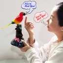 Tipmant Electronic Talking Parrots Realistic Eelectric Birds Toy Office Home Wall Room Table Decoration Recoarding Voice & Playback Kids Toys Birthday Gifts (Red), Medium