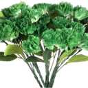 Inder 6 Pcs St. Patrick's Day Decorations Artificial Green Carnations Bulk Green White Silk Carnations Faux Bushes with Stems for Cemetery Wedding Bouquets Home Decor DIY