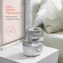 Cool Mist Humidifier - 2.2L Water Tank, for Bedroom, Baby, Quiet Ultrasonic Air Vaporizer, Adjustable Mist Level, 360 Nozzle Rotation, Auto-Shut Off, Large Area Humidifiers Easy Fill and Clean (Grey)