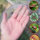 Wohohoho Garden Insect Mesh Netting 10ft x 64ft (3m x 20m), 1mm Ultra Fine Plant Covers for Garden Protection. Mosquito Net Pest Barrier for Vegetables Fruits Greenhouse Row Cover Raised Bed Barrier