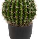 Nearly Natural Cactus Artificial Plant