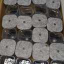 Ansible 24 Pcs Chair Leg Floor Protectors Square, Silicone Felt Furniture Leg Pads Caps Covers for Hardwood Floors (Fit:1-1/16" to 1-5/8") (Clear)