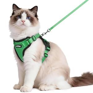 rabbitgoo Cat Harness and Leash for Walking, Escape Proof Soft Adjustable Vest Harnesses for Cats, Easy Control Breathable Reflective Strips Jacket, Grass Green, XS