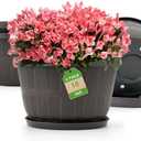 Quarut 10 inch Plastic Flower Pots for Indoor Plants，4 Pack Large Outdoor Planter Pot with Drainage Holes & Saucers，Imitation Wine Barrel Design，for Indoor Outdoor Garden Plants（Brown）