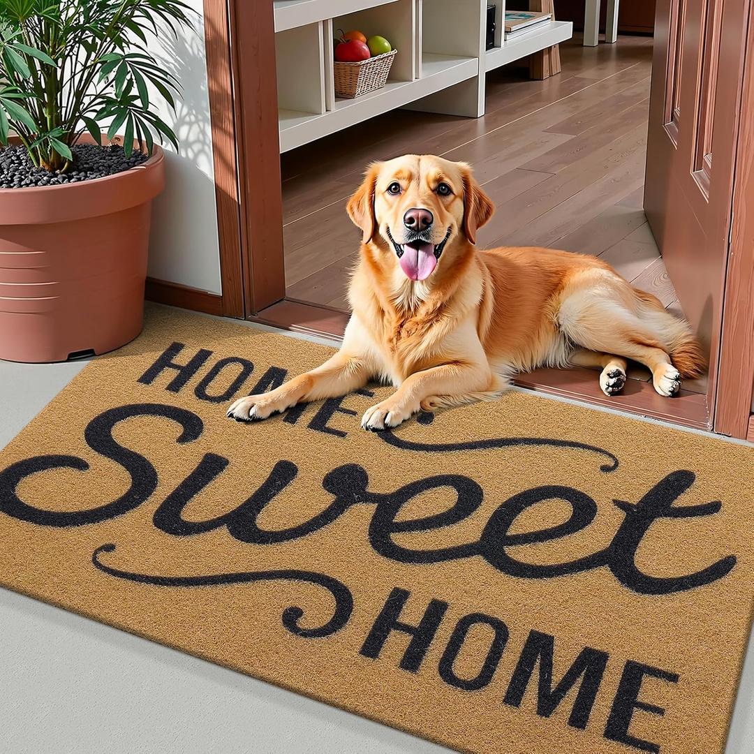 OLANLY Front Door Mat, Low Profile Welcome Doormat for Home, Stain and Fade Resistant, Easy to Clean, for Indoor and Outdoor Entrances, Porch or Entryway, 30x17 Inch, Brown