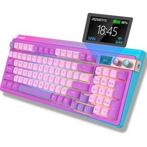 H98 Mechanical Keyboard,96-Key Hot-Swappable TTC Speed Silver V2,Tri-Mode Bluetooth 5.0 2.4G USB-C,Gasket Mount,Draw & Customize on 1.14"Color Screen,6000mAh,PBT Keycaps for PC Mac iPad(Purple)