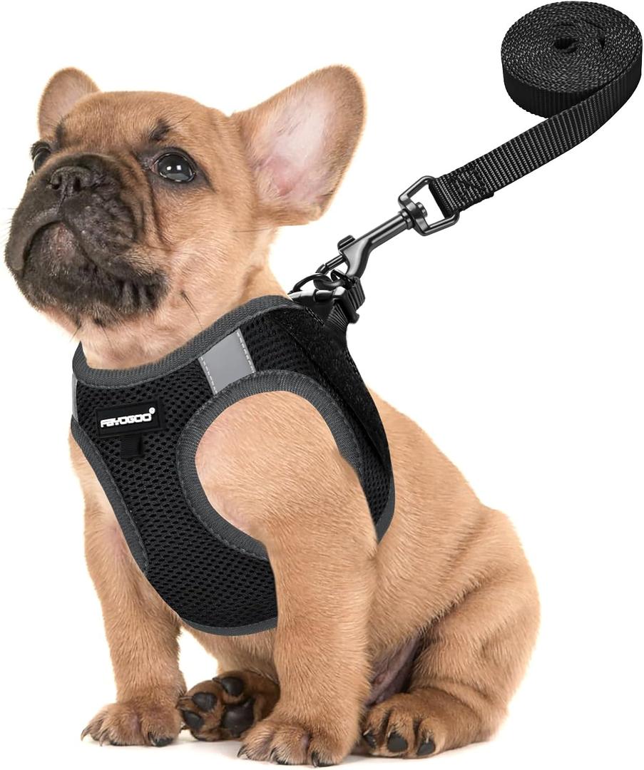 FAYOGOO Service Dog Vest for Small Breed - Lightweight Dog Harness with 6PCS Removable Patches - Puppy Harness and Leash Set for Walking,Training (XS, Black)