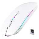 Wireless Bluetooth Mouse, Rechargeable, LED, Silent, Ultra-thin Design (Bluetooth 5.2 and 2.4GHz USB Receiver) | Portable Computer Mouse for Laptops, iPads, MacBooks and Apple Devices (White)