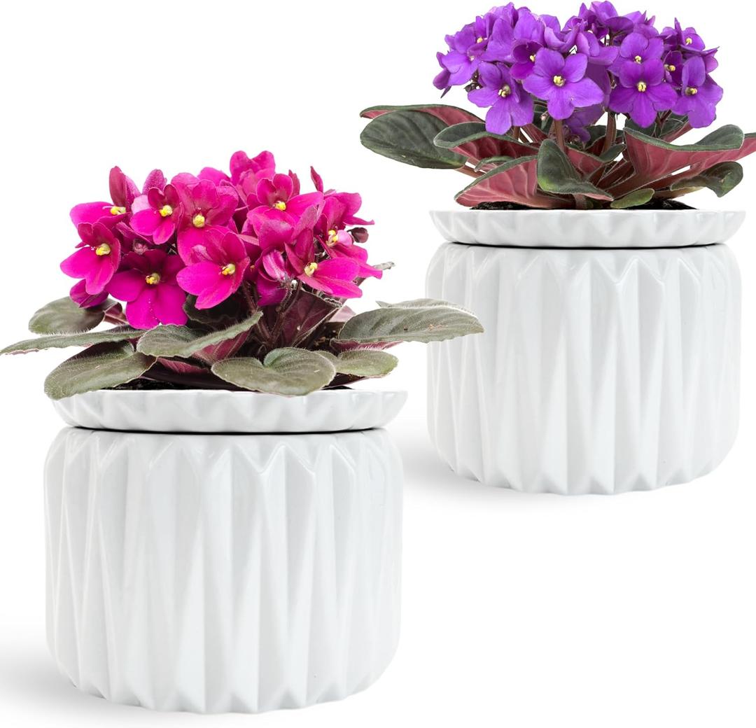 2 Pack of 6 Inch African Violet Pots Self Watering, Ceramic Planter with Water Reservoir and Fill Lines, 4 Inch Opening, Indoor Flower Pot, Holds 3 Weeks of Water