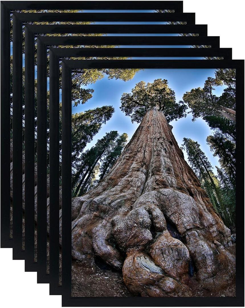 13x19 Picture Frame Black Poster Frames Display for Wall, Set of 6
