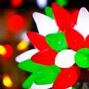 HAYATA Red White Green C7 Big Bulbs Classic Christmas Lights 50 LED 24ft Strawberry String Light - Fairy Lighting for Outdoor, Indoor, Garden, Home, Wreath, Garland,Tree Decorations