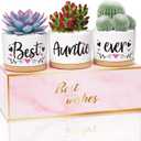 MAYICIVO Mothers Day Aunt Gifts from Niece Nephew, Best Gifts for Aunts Auntie, Unique Aunts Birthday Gift Auntie, Best Auntie Ever Succulent Pots for Plants Indoor Ceramic Planter