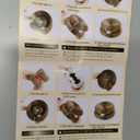 Emily Pets Paper Magic Organ Cat Scratching Board Cat Scratch Board Toy Magic Cat Scratcher Climbing Frame Magic Organ Cat Play Scratch Toy