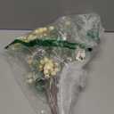 Tinsow 5 Pcs Artificial Berry Stems for Flower Arrangement Christmas White Holly Berry with Eucalyptus Branches for Wedding Bouquet Holiday Home Decor and Crafts (White, 5)