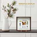 Plate Holder Easel Display Stand - 6 inch Metal Plate Stands for Display - Tabletop Picture Stand - Gold Iron Easels for Display Pictures | Photo Frames | Book | Decorative Plates | Plaque - 4 Pack